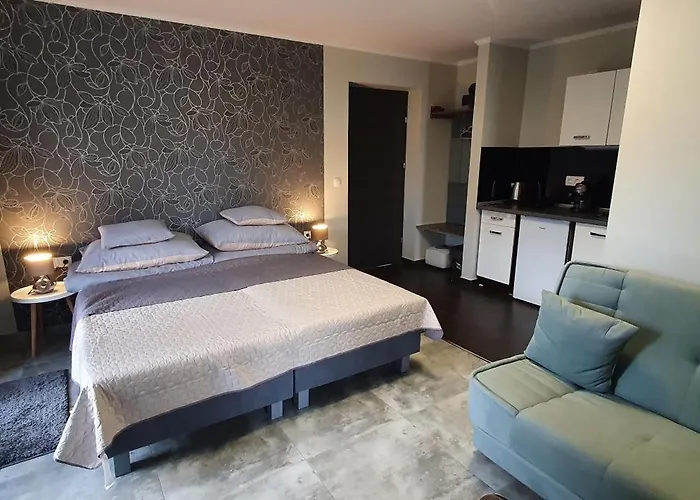 House Appartement Berekfürdő